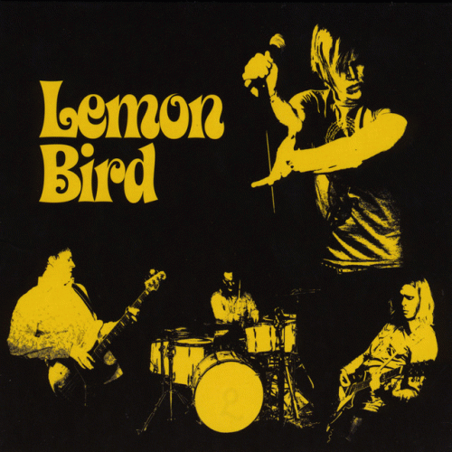 Lemon Bird : Rara Avis